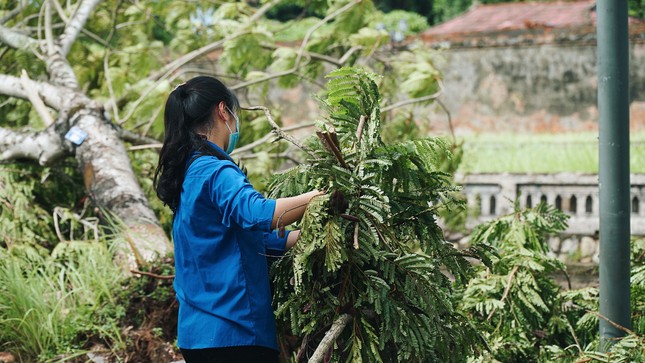 Gần 1.500 ĐVTN Huế miệt mài ‘giải cứu’ đường phố tắc nghẽn sau bão ảnh 4