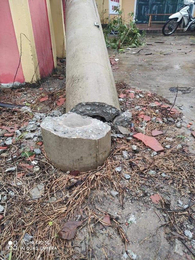 Hơn 400 cột điện đổ la liệt sau bão số 5: Tạm dừng sử dụng cột dự ứng lực ảnh 2