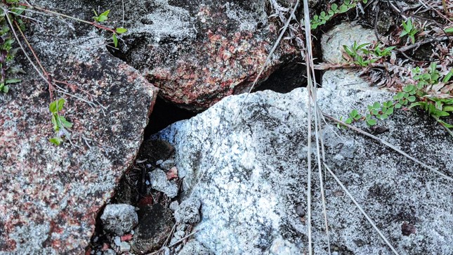 'Xâu xé' đất lưới điện 500kV thành nghĩa trang: Truyền tải điện TT-Huế nói gì? ảnh 3