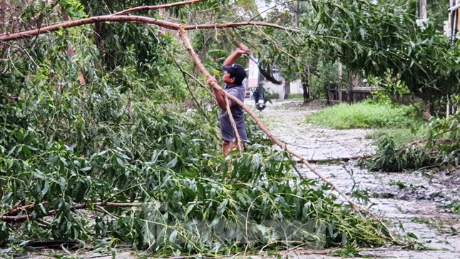 Bão số 13 quần thảo TT-Huế, nhà cửa tốc mái, cây cối gãy đổ ảnh 4