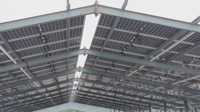 Kỳ lạ làm trang trại ‘điện mặt trời’ tại TT-Huế: Áp mái lên hàng loạt nhà... không mái ảnh 1