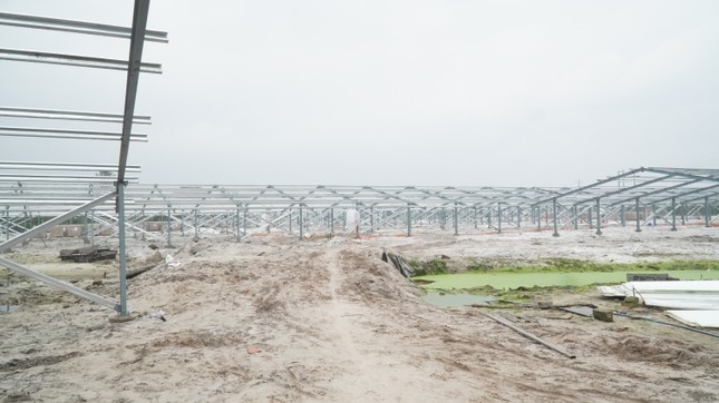 Kỳ lạ làm trang trại ‘điện mặt trời’ tại TT-Huế: Áp mái lên hàng loạt nhà... không mái ảnh 3