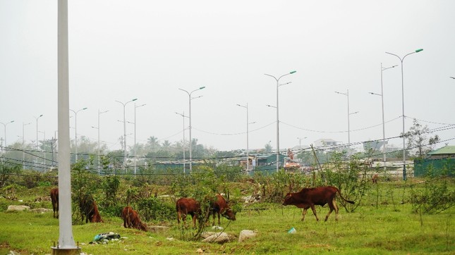Hai công trình chiếu sáng tiền tỷ xây trên đường cụt 'bỏ hoang' ở Huế ảnh 9