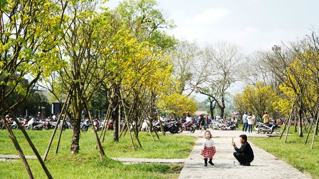 Chủ tịch tỉnh kêu gọi xây dựng Huế thành ‘xứ sở mai vàng’ của Việt Nam ảnh 3