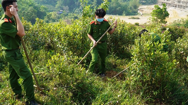 Đoàn viên, thanh niên TT-Huế tất bật Tháng Thanh niên ảnh 2