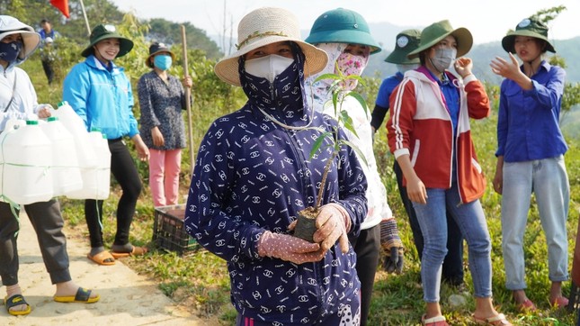 Đoàn viên, thanh niên TT-Huế tất bật Tháng Thanh niên ảnh 4