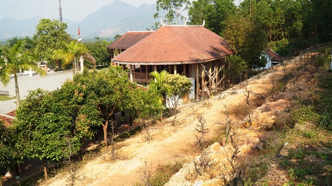 Đoàn viên, thanh niên TT-Huế tất bật Tháng Thanh niên ảnh 7
