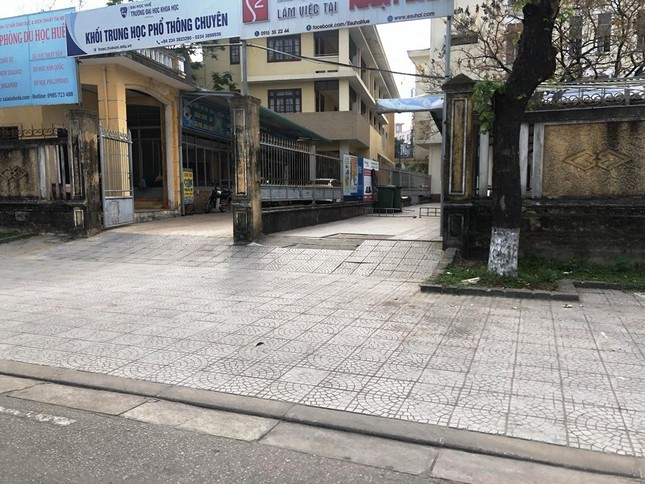 Hoa tươi 8/3 ở Huế ế ẩm do giá cao, hoa giả gắn tiền thật 'lên ngôi' ảnh 5
