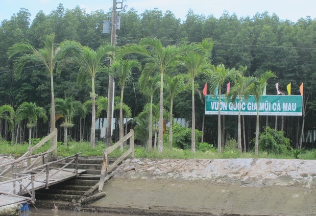 Cách chức giám đốc, phó giám đốc vườn quốc gia Mũi Cà Mau ảnh 1