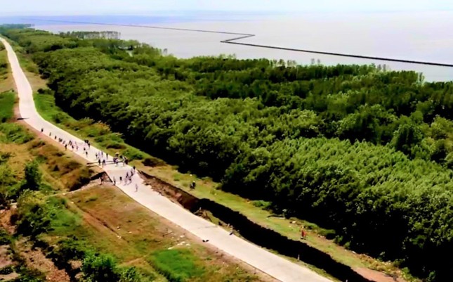 Kinh hoàng sụp lún, sạt lở đất chưa từng thấy ở Cà Mau ảnh 2