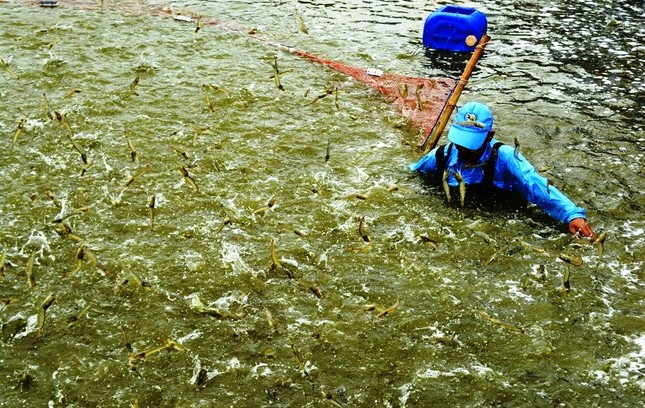 Trưởng ban Dân vận Trung ương dự đại hội Đảng bộ Bạc Liêu ảnh 4
