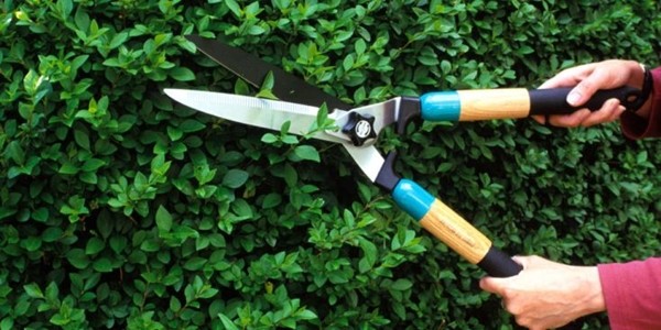 Bạn có đang góp phần gieo trồng thứ gì đáng để gặt hái bởi người khác không? ảnh 1