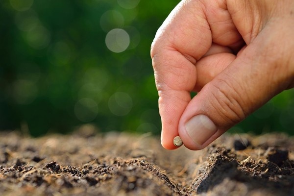Bạn có đang góp phần gieo trồng thứ gì đáng để gặt hái bởi người khác không? ảnh 4