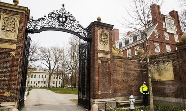 ĐH Harvard và Học viện MIT khởi kiện chính quyền Trump vì trục xuất du học sinh học online ảnh 3