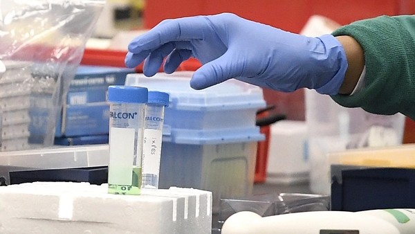 Kháng thể COVID-19 sẽ biến mất sau 3 tháng, thế này thì phải tiêm bao nhiêu liều vắc-xin? ảnh 3