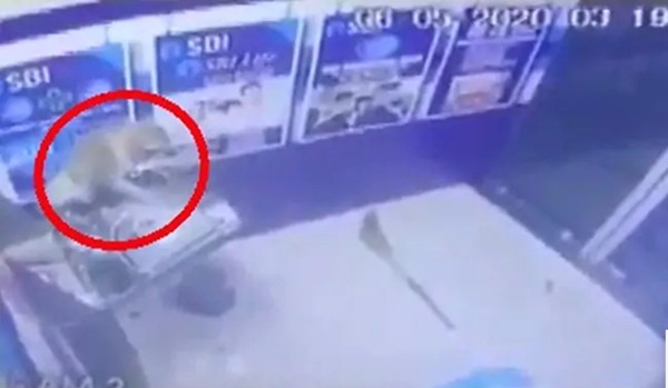 Tên trộm xui xẻo: Cho nổ tung cây ATM mà không lấy được đồng nào, đành tay trắng bỏ chạy ảnh 3
