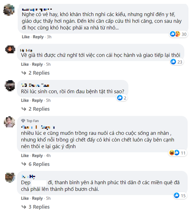 “Về quê nuôi cá và trồng thêm rau” hóa ra chẳng phải cuộc sống trong mơ, bạn còn phải giắt túi cả tỉ đồng! ảnh 11