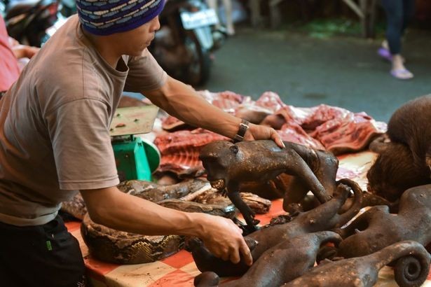 Chợ thịt tươi nổi tiếng ở Indonesia vẫn tấp nập bất chấp đại dịch COVID-19 ảnh 6