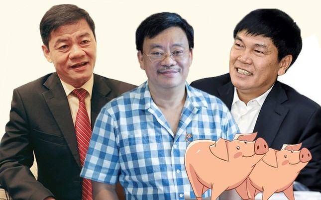 Quay về làm nông, tỷ phú USD Việt Nam mở trại nuôi lợn ảnh 1