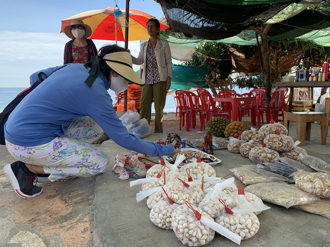 Khám phá 'hòn ngọc nhỏ' từ thiên đường rơi xuống thềm biển Đông ảnh 12