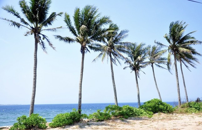 Khám phá 'hòn ngọc nhỏ' từ thiên đường rơi xuống thềm biển Đông ảnh 10