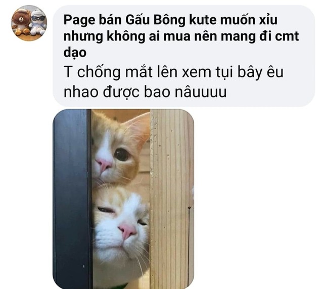 Khám phá loạt page “dành cả thanh xuân để gọi tên” chỉ bình luận dạo gom like mỏi tay ảnh 4