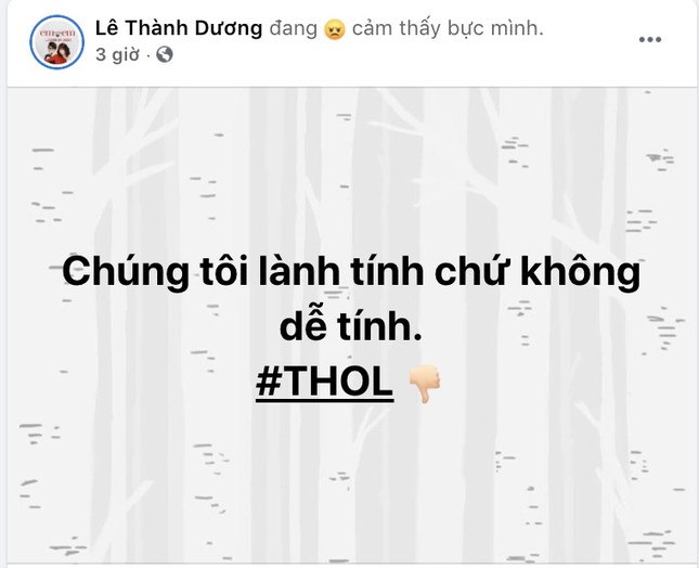 Loạt nghệ sĩ bức xúc trước kẻ livestream có lời lẽ xúc phạm đến vợ của cố nghệ sĩ Chí Tài ảnh 2
