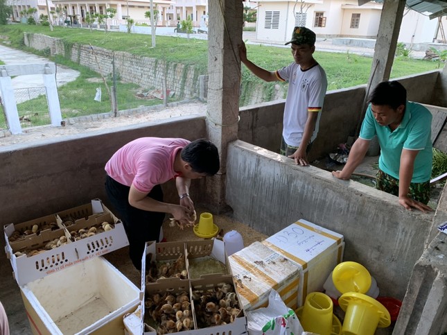 Đảo thanh niên xanh không rác thải nhựa ảnh 5