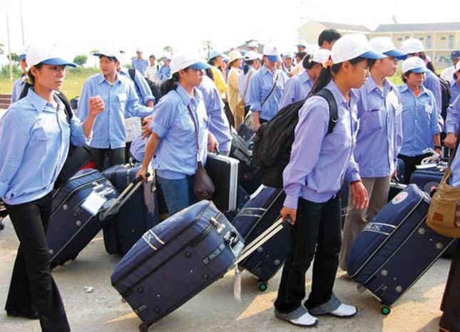 Tranh luận nóng Trung tâm dịch vụ việc làm thu phí của lao động ảnh 1