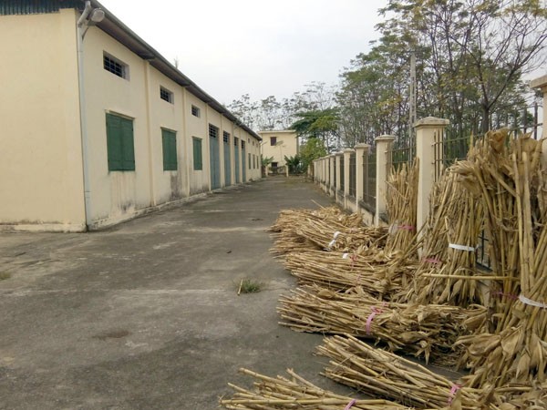 Cận cảnh công trình tiền tỷ bỏ hoang ở xã nghèo ảnh 3