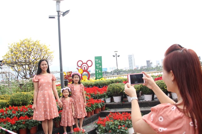Đường hoa xuân Đà Nẵng hút nhiều ‘hội bạn tóc bạc’ đến sớm ảnh 12