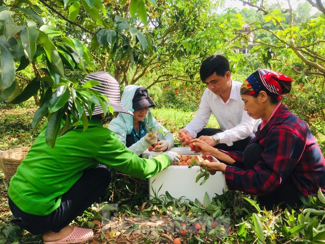 Đầu tư 3.000 tỷ đồng cho khoa học công nghệ ở nông thôn miền núi ảnh 2