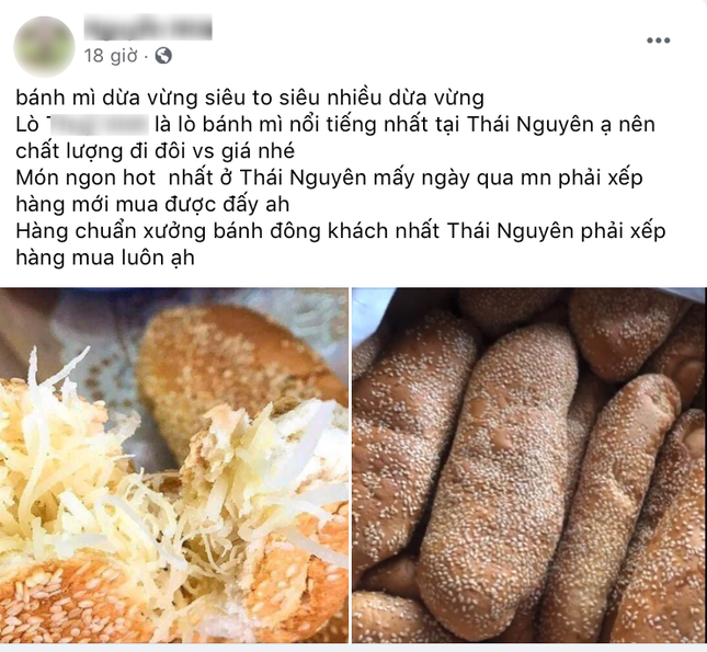 Món bánh mì dừa đang là "hot trend" bị dân mạng chê tơi bời, chất lượng khác xa quảng cáo? ảnh 1