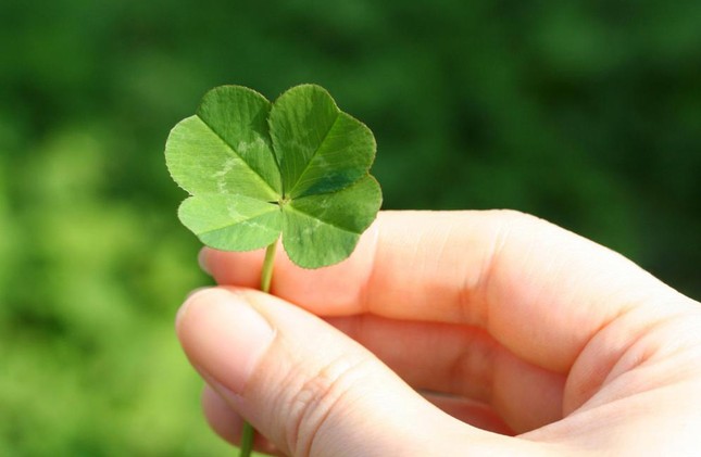 May mắn là một khả năng có thể học hỏi, và đây là cách giúp bạn nắm bắt may mắn của mình ảnh 1