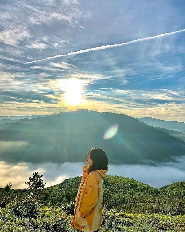 View “săn mây” đẹp ảo diệu ở Đà Lạt thông báo đóng cửa vì ý thức kém của du khách ảnh 9