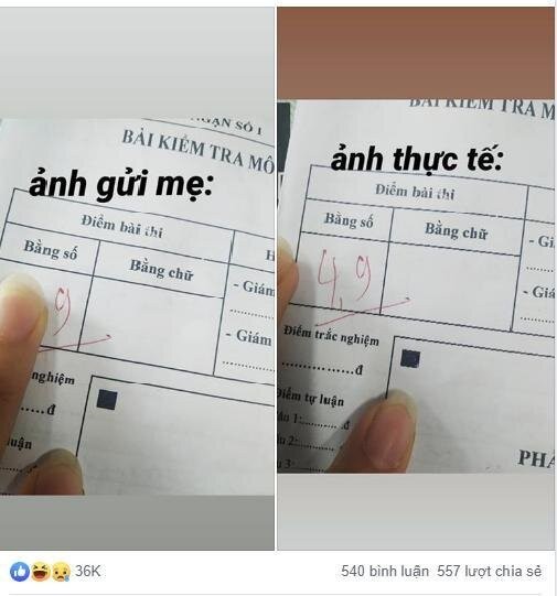 Học sinh sử dụng “IQ vô cực”, hô biến điểm số từ thấp thành cao để khoe với mẹ ảnh 1