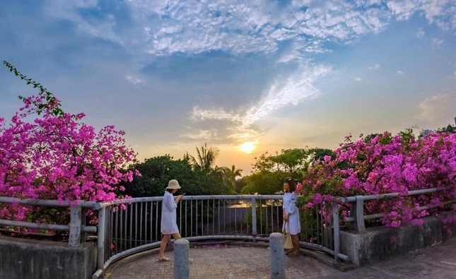 Hà Nội: Cây cầu hoa giấy bất ngờ bung nở trở lại, check-in “sương sương” có ngay ảnh đẹp! ảnh 3