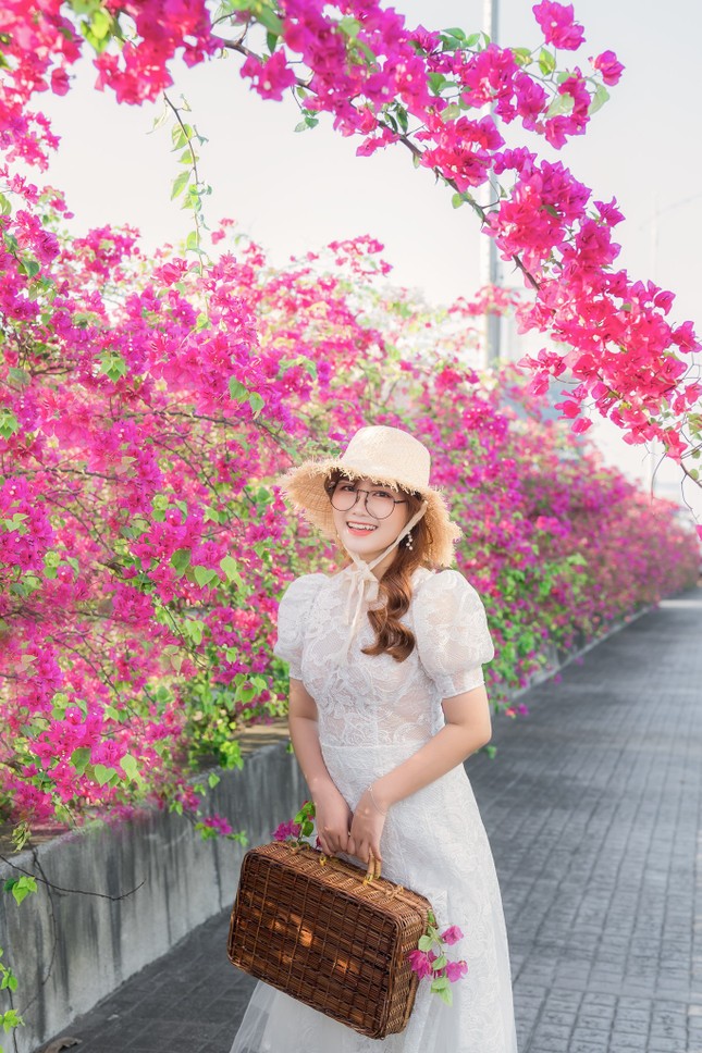 Hà Nội: Cây cầu hoa giấy bất ngờ bung nở trở lại, check-in “sương sương” có ngay ảnh đẹp! ảnh 4