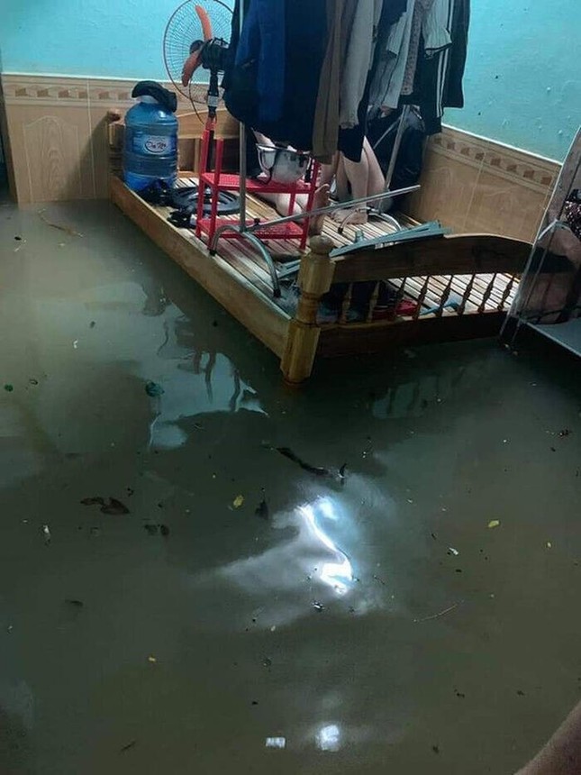 Sinh viên miền Trung xoay sở mùa mưa lũ: Gió quật bay cả mái nhà, “câu cá” trong phòng trọ ảnh 4
