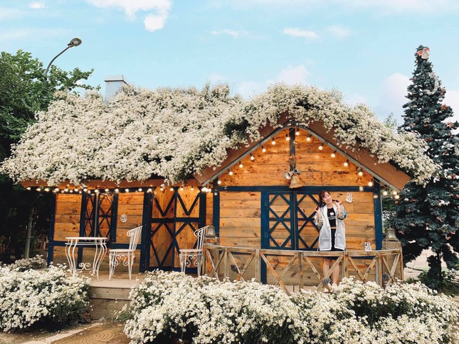 Một mùa cúc hoạ mi xinh xắn lại đến: “Lên đồ” cùng hội BFF để có những tấm ảnh “nghìn like” nào! ảnh 7