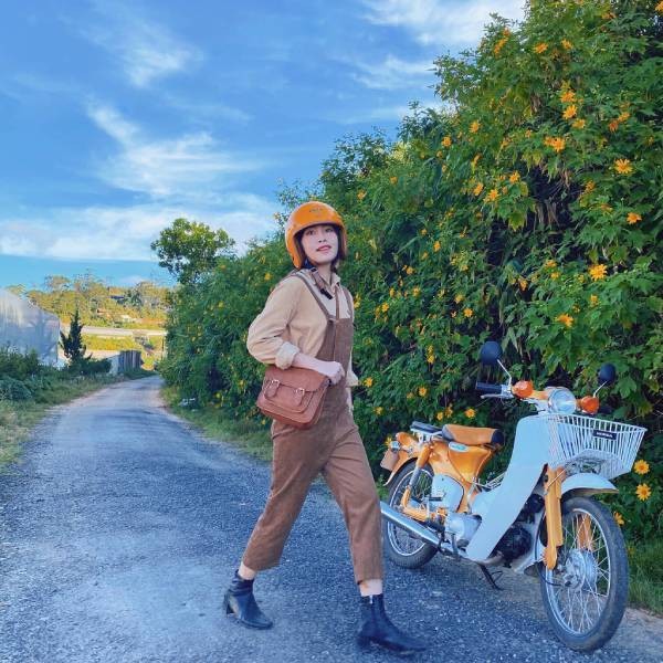 Tháng 11 “check-in” ở Đà Lạt: Bật mí những địa điểm tràn ngập dã quỳ, chẳng sợ chen chúc ảnh 3