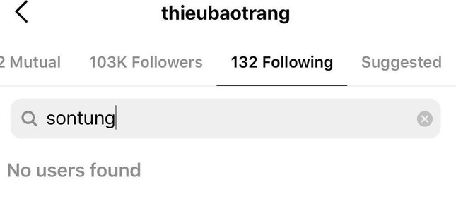Sau Thiều Bảo Trâm, đến lượt Thiều Bảo Trang có động thái này trên Instagram với Sơn Tùng ảnh 3