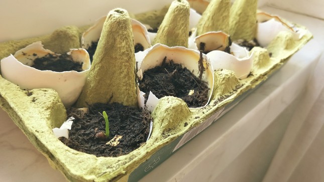 Du học sinh Việt tại Đức chia sẻ bí kíp cắt giảm một nửa chi tiêu để sống sót trong mùa dịch ảnh 7