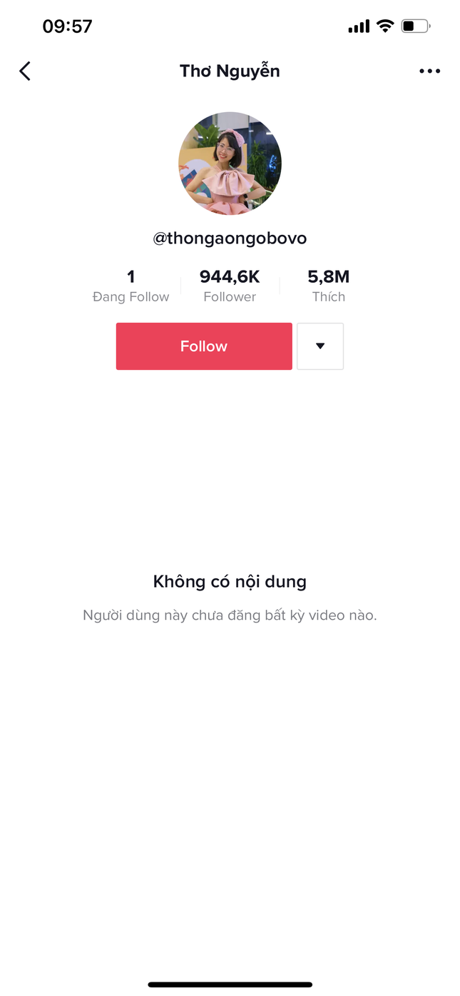 Kênh YouTube Thơ Nguyễn vào “tầm ngắm” của cơ quan chức năng, có nguy cơ bị khoá tài khoản ảnh 3