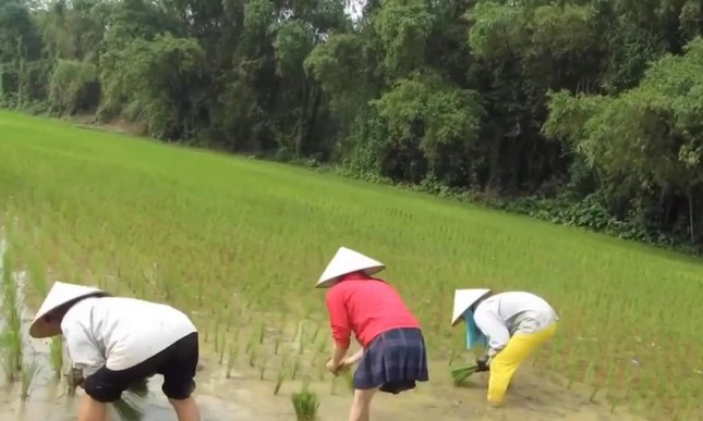 Nghị lực và nhan sắc gợi cảm của cô gái Tày nhảy múa chỉ với một chân ảnh 4