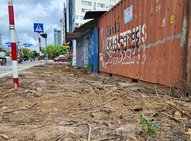 Công an vào cuộc vụ hàng loạt cây xanh bị 'bức tử' ở Hải Phòng ảnh 2