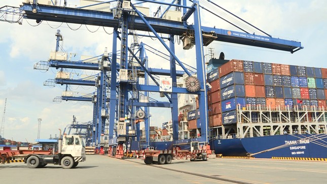 Hơn 1.500 container phế liệu 'nằm ăn vạ' ở cảng Cát Lái nhiều năm ảnh 1