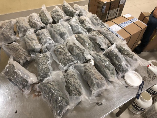Chó nghiệp vụ đánh hơi gần 5kg cần sa nhập lậu vào sân bay Tân Sơn Nhất ảnh 1