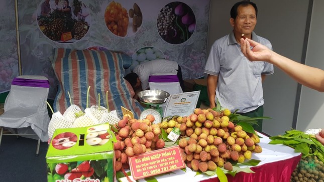Vào hè, trái cây vùng miền đổ bộ hội chợ trái cây, nông sản Hà Nội ảnh 1