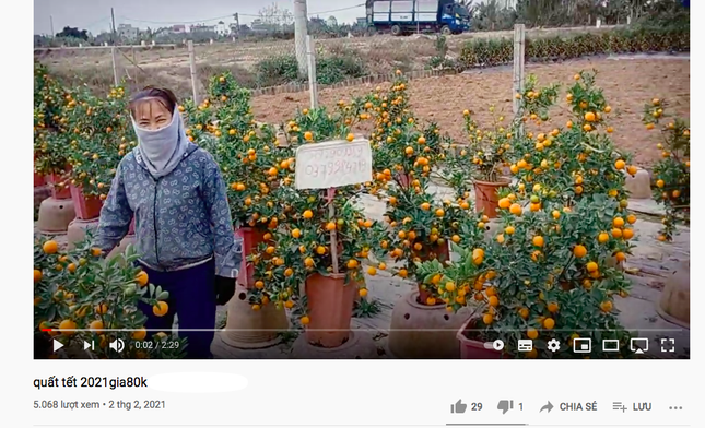 Tiểu thương đua nhau livestream rao bán cây lạ, hoa đẹp ảnh 2